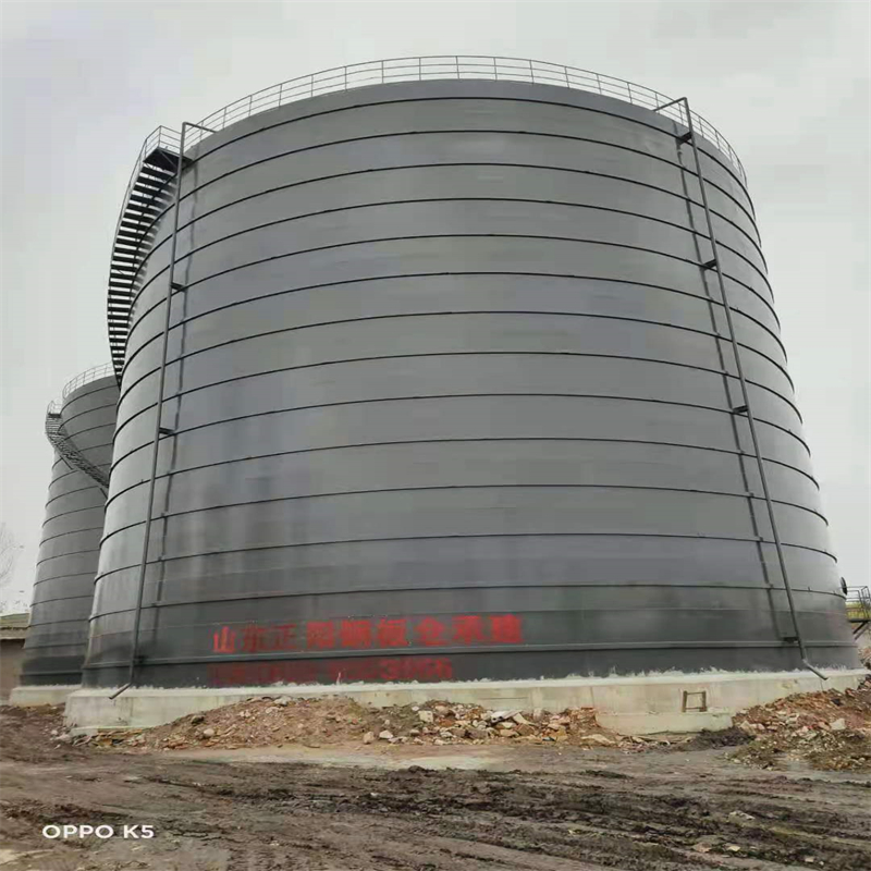 双台子3万吨大型钢板库