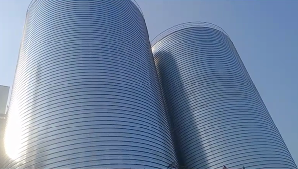 双台子2座混凝土高架卷板仓